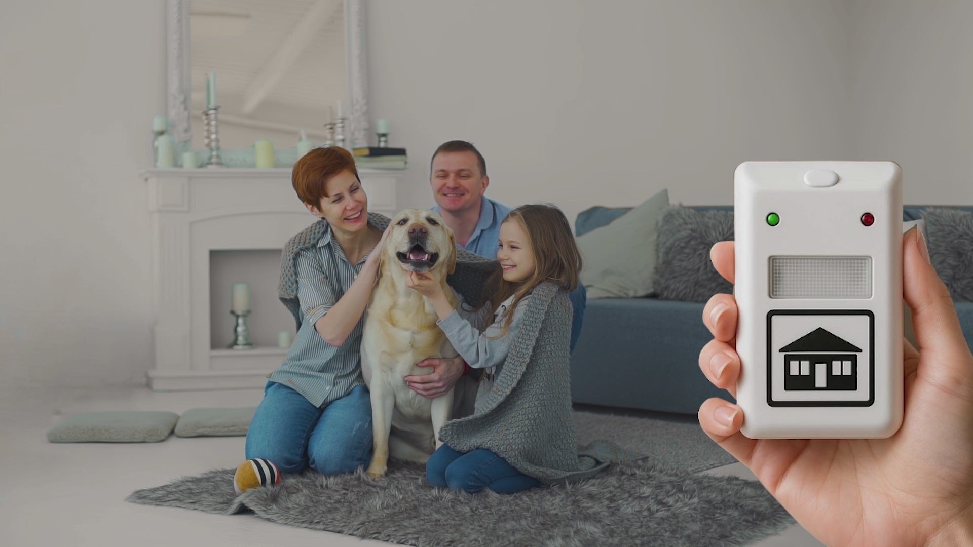 Load video: Pest free guaranteed with Riddex.
