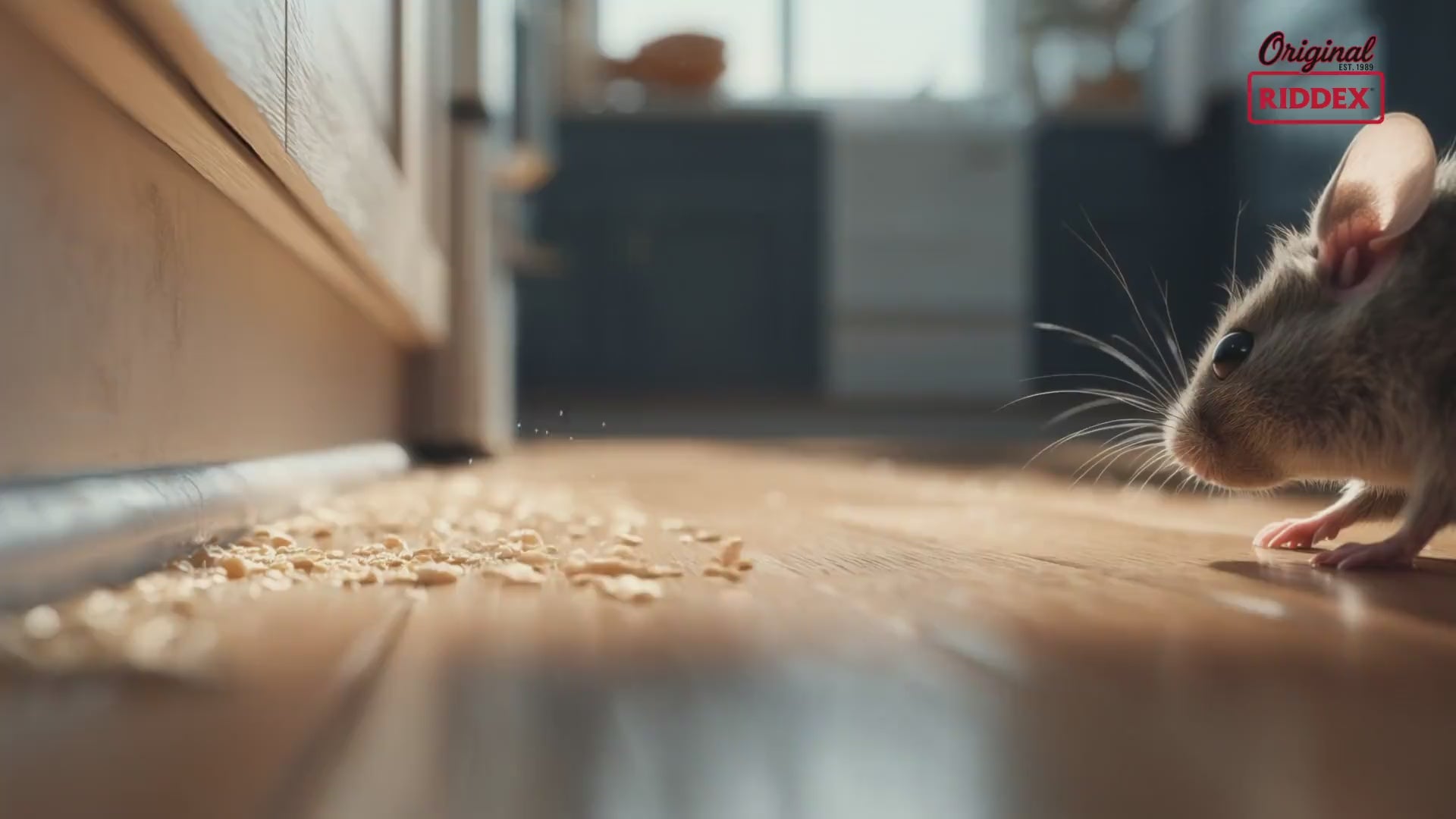 Load video: Riddex® Plus Electromagnetic Pest Repeller