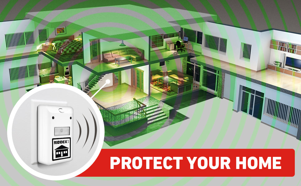 Natural Pest Control: A Smarter Choice for Long-term Results – Riddex®
