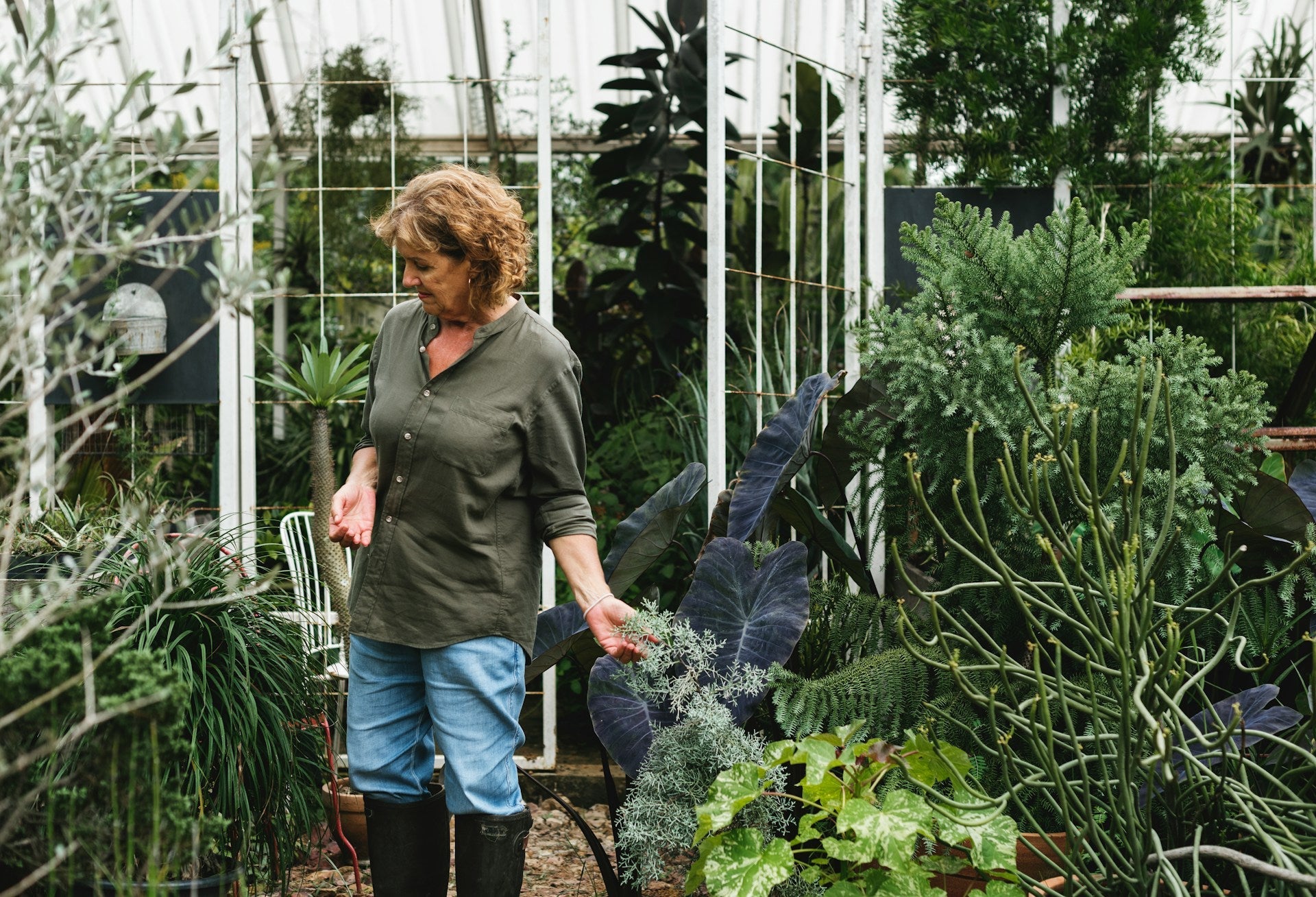 Pest-Free Garden