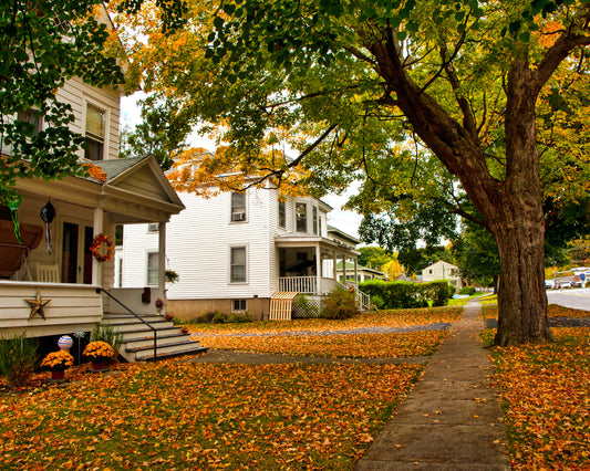 Houses on a tree-lined street in the fall with leaves on the ground