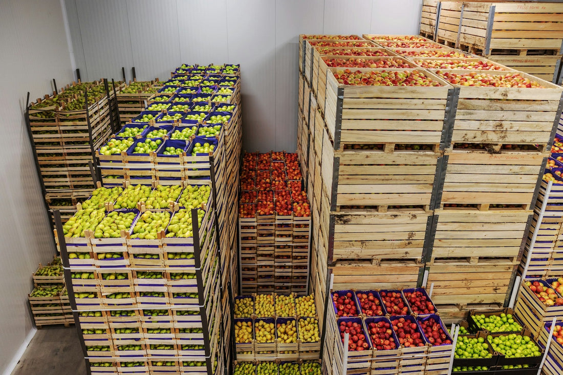 harvest storage