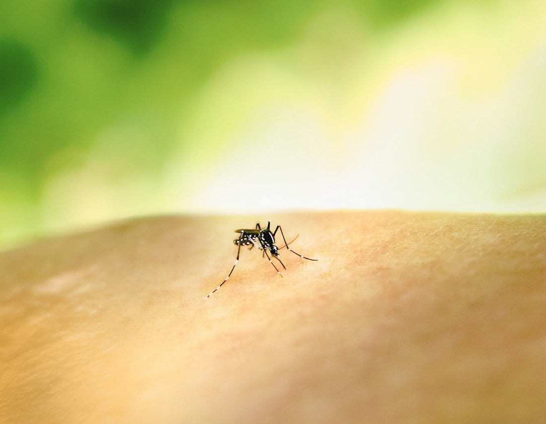 Clip-On Repellents