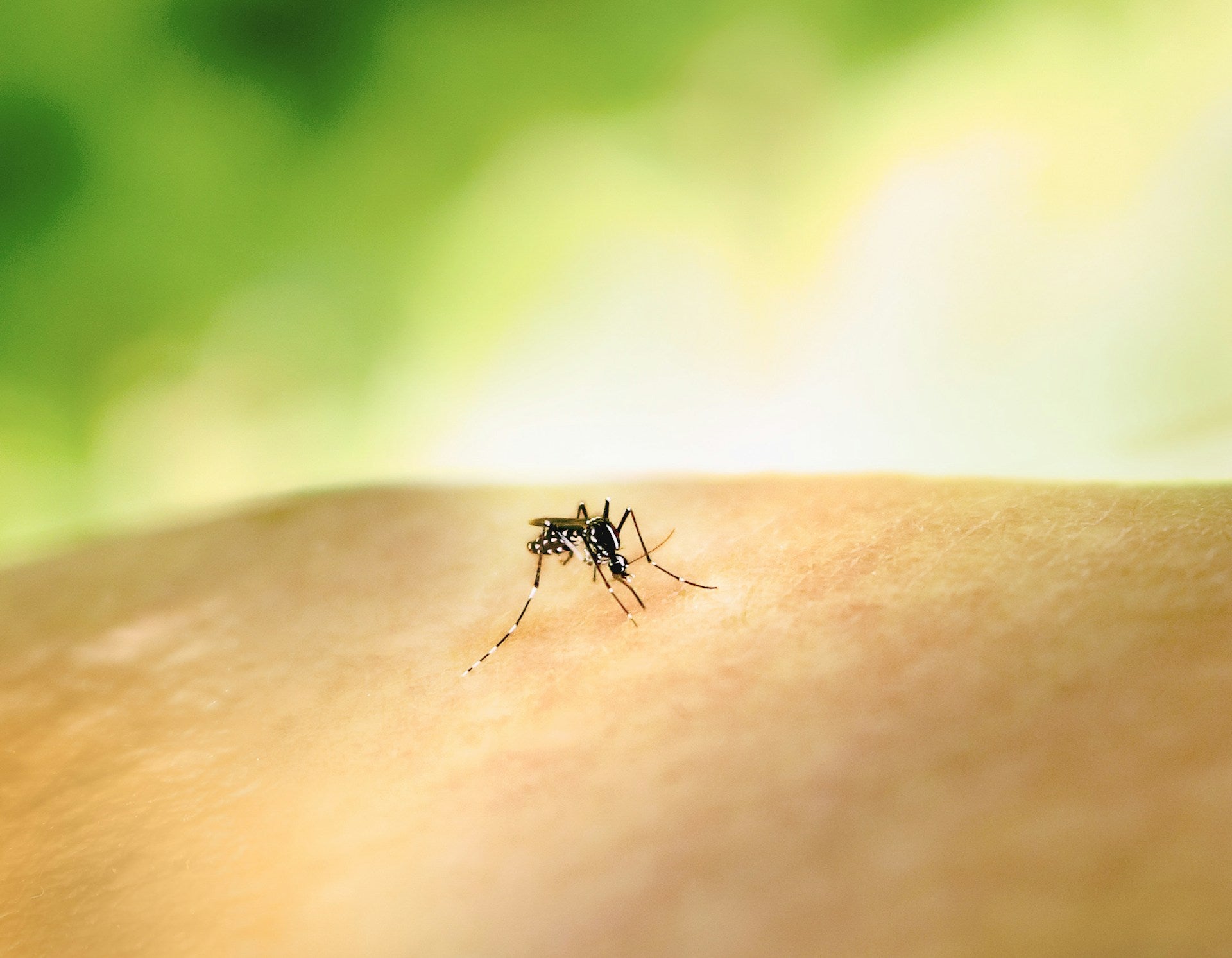 Clip-On Repellents